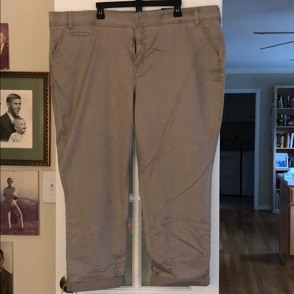 lane bryant boyfriend chino